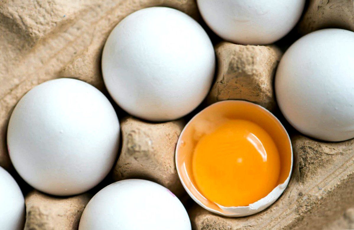 Egg recall due to salmonella risk - Bavaria is also affected
